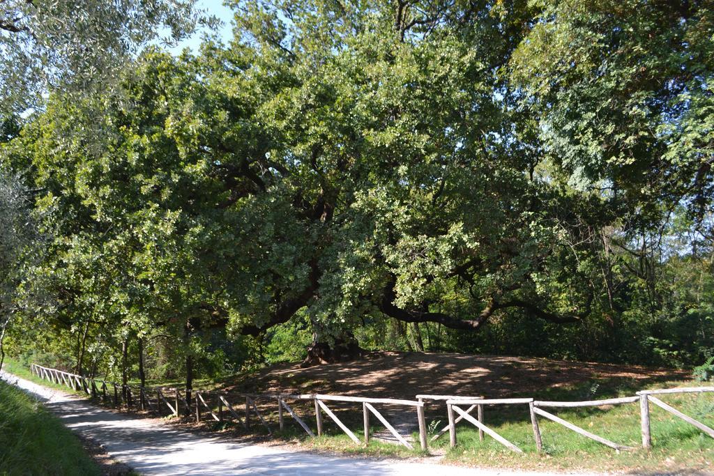 Casa Ginori Villa Altopascio Kültér fotó